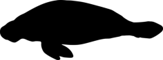 Manatee Shape Outline Drawing Svg Vector, Free Vectors File